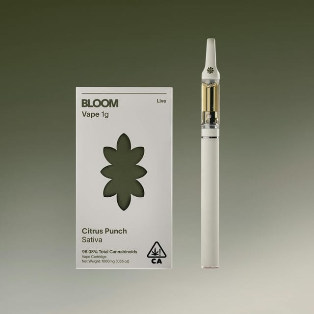 BLOOM: Citrus Punch Surf