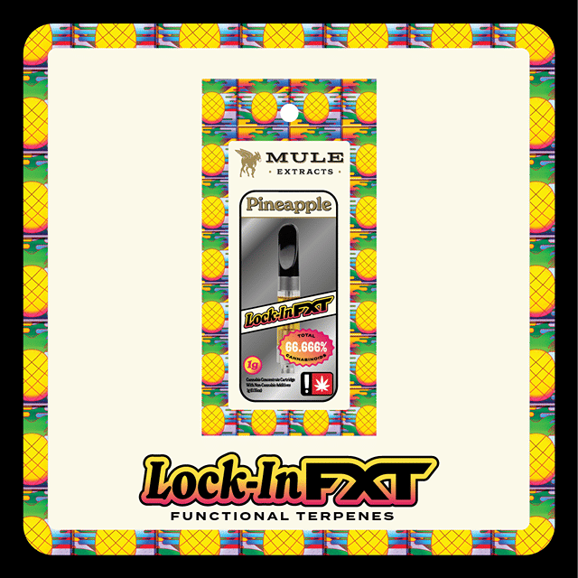 1g FXT 510 Cart - Pineapple - Lock In