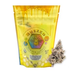 BUZZED — Biscotti