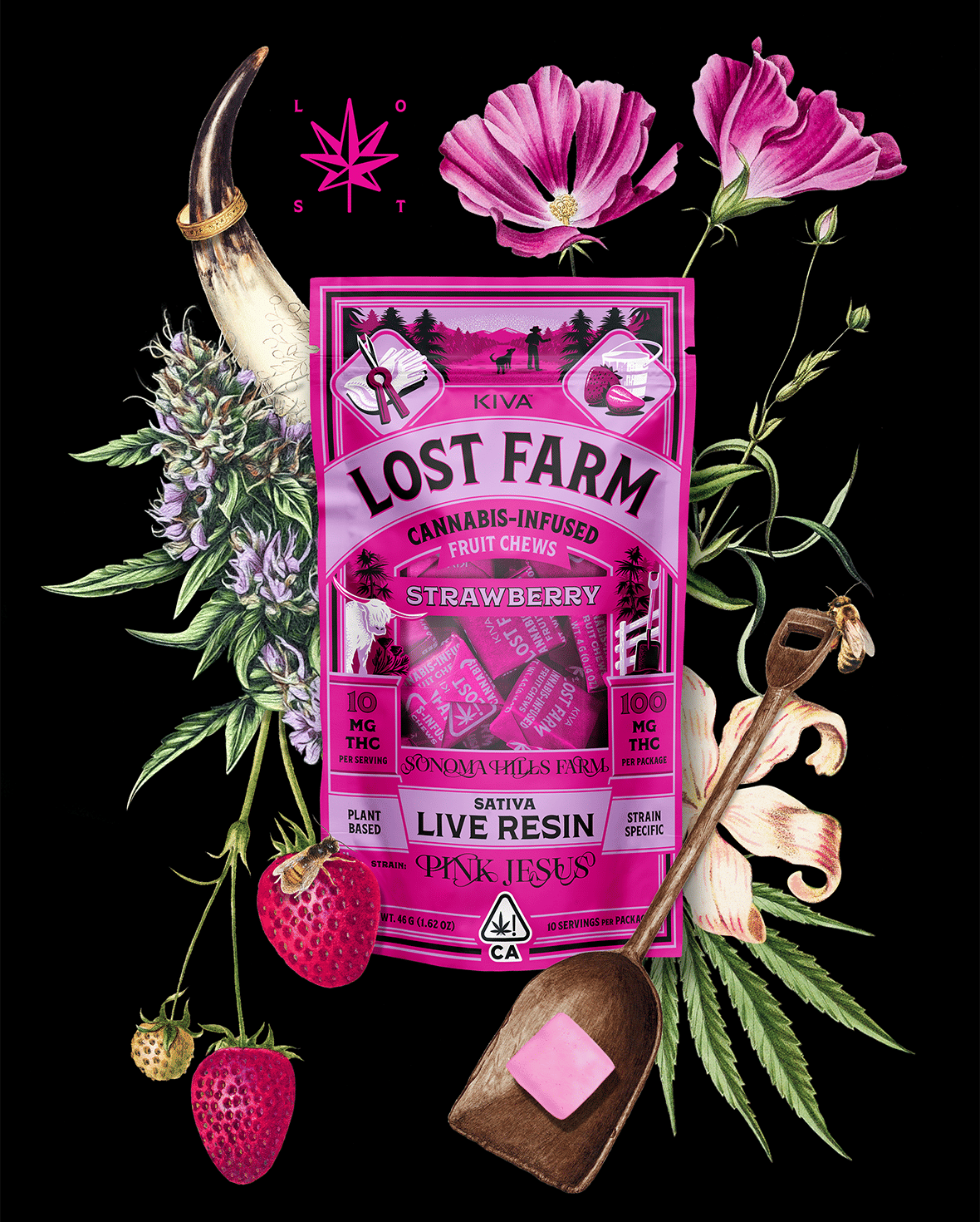 LOST FARMS: Gg4
