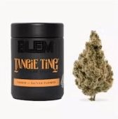 BLEM — Tangie Ting