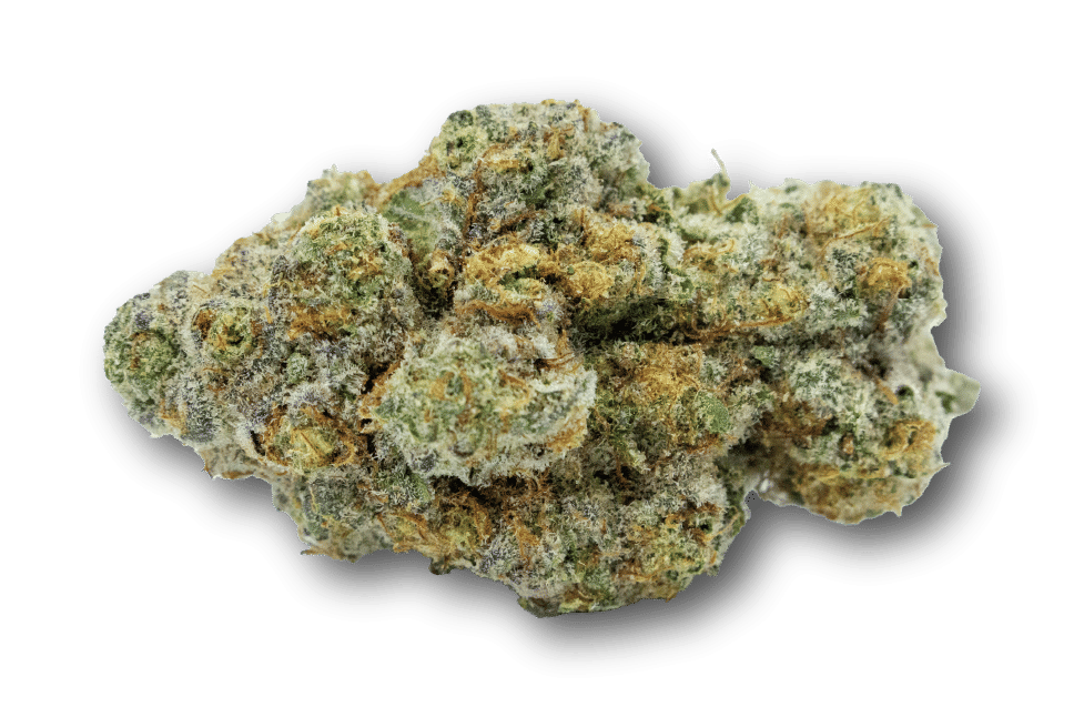 Golden State Canna: Gushmintz