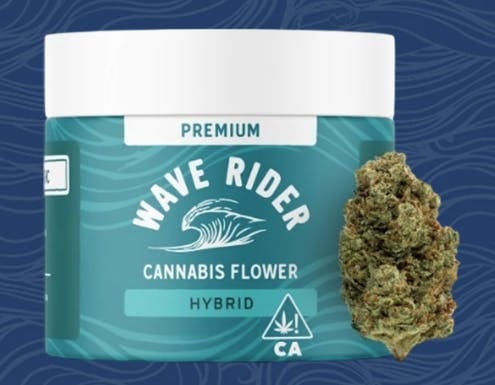 Jack Herer 14g - CAM | Shop | KUSHOLOGY
