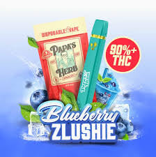 Blueberry Zlushie AIO 1g