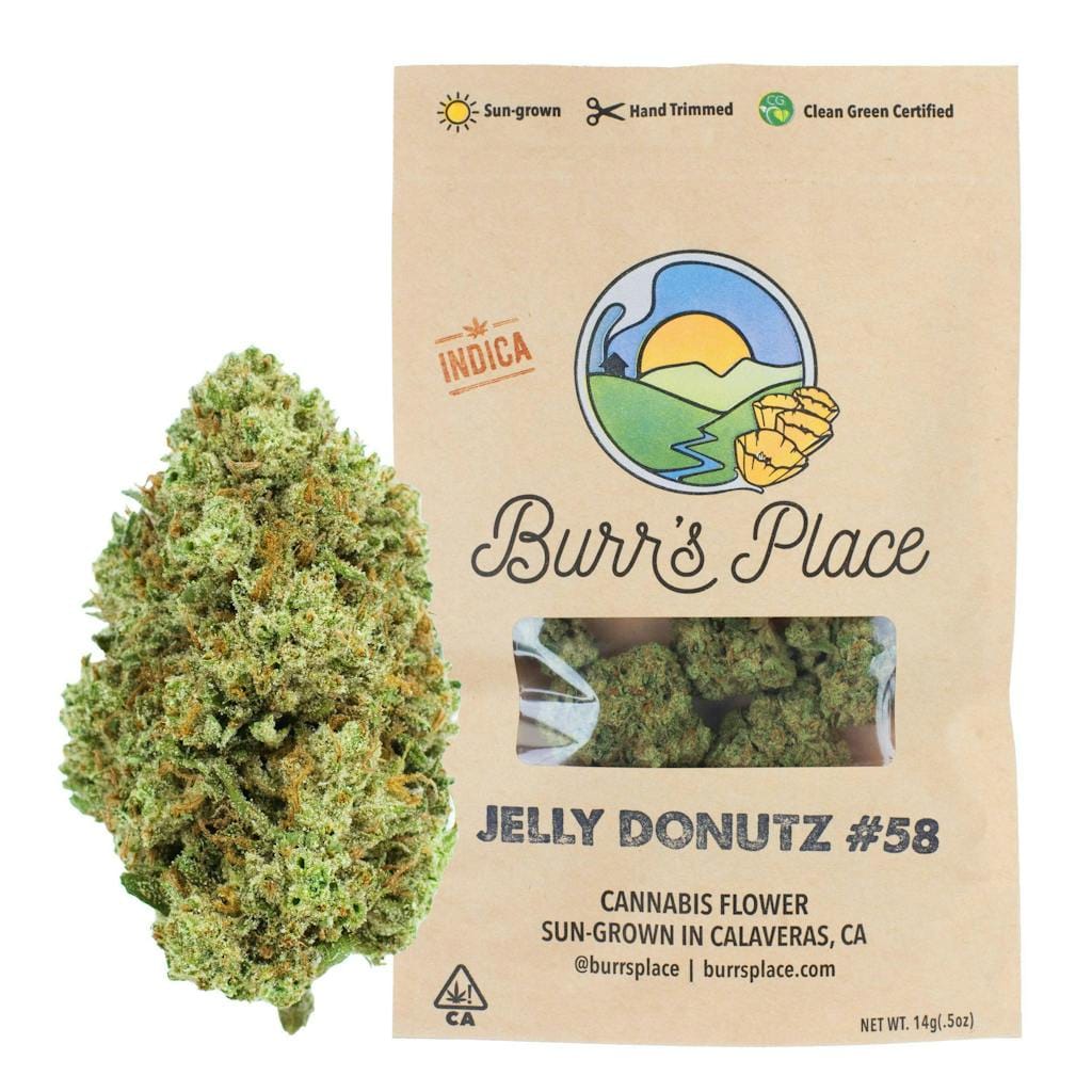 Burr's Place Organics: Jelly Donutz - Bigs - Bigs