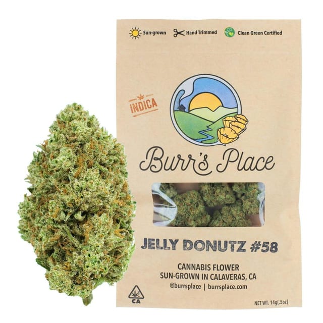 Burr's Place Organics: Jelly Donutz - Bigs - Bigs