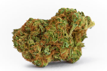 J1 (Jack Herer x Skunk #1)