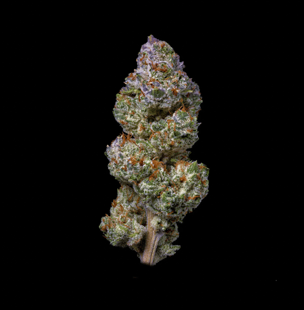 3.5g THE COUGH HAZE