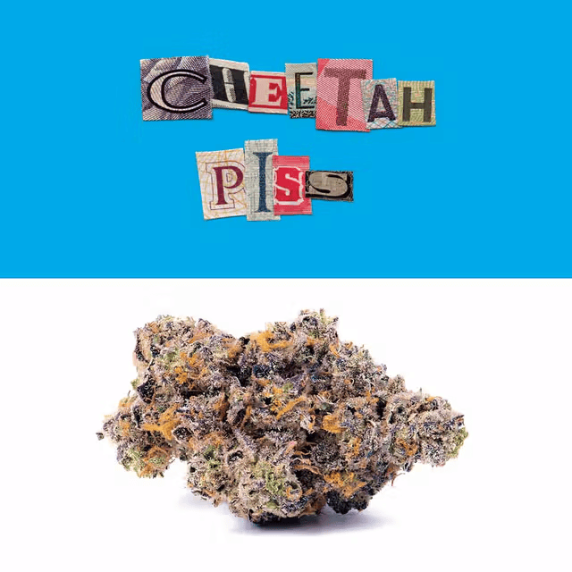Cheetah Piss 3.5g