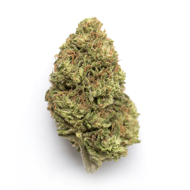 LCGX (Lemon Cherry Gelato)