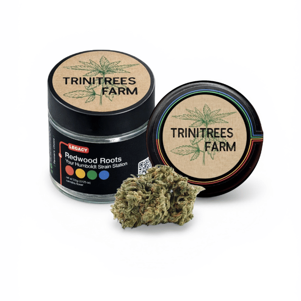 Northern Skunk