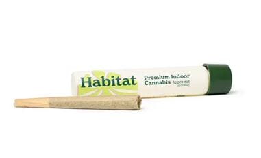 Green Habitat: Blue Dream