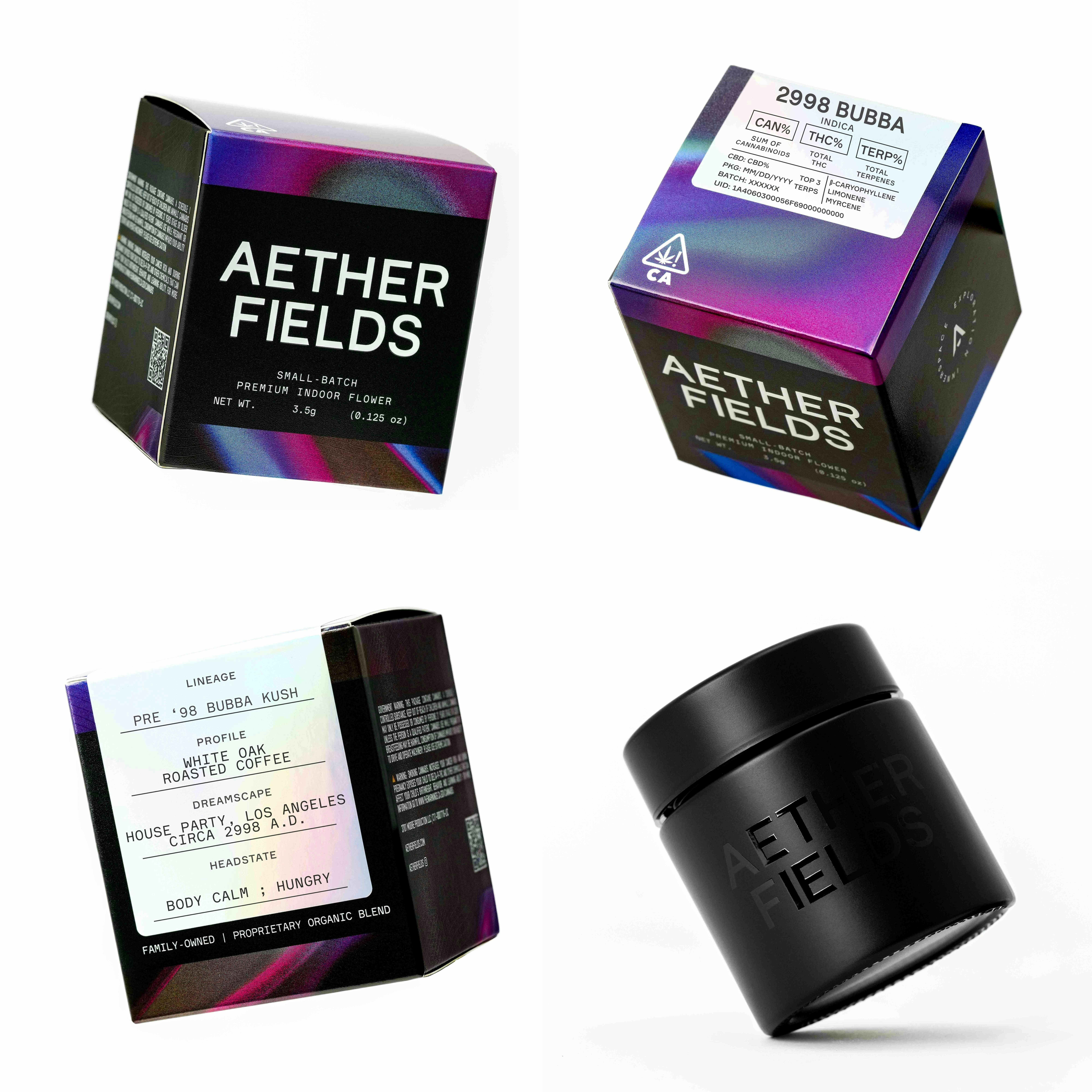 Aether Fields: 2998 Bubba