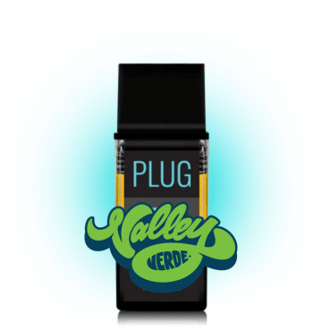 Plug Play Apple Slushie 1g Pod