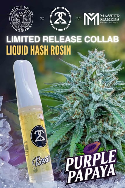 Twenty Two K / 22k — Purple Papaya