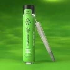 Blackberry Kush | 1g infused Pre-Roll