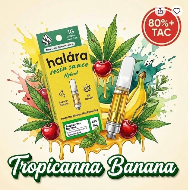 Tropicanna Banana - Live Resin Sauce - 1g - 510 Cart - (H)