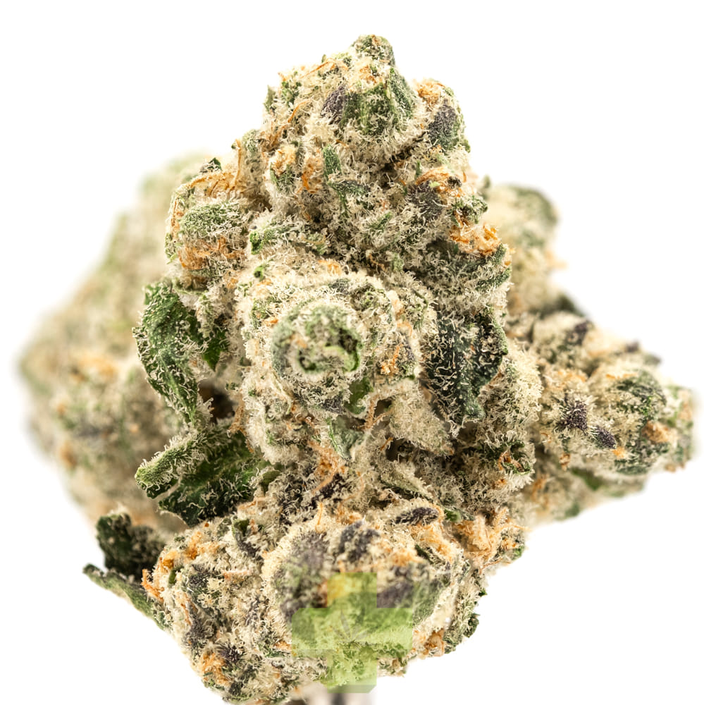 SEED JUNKY: Pineapple Bang