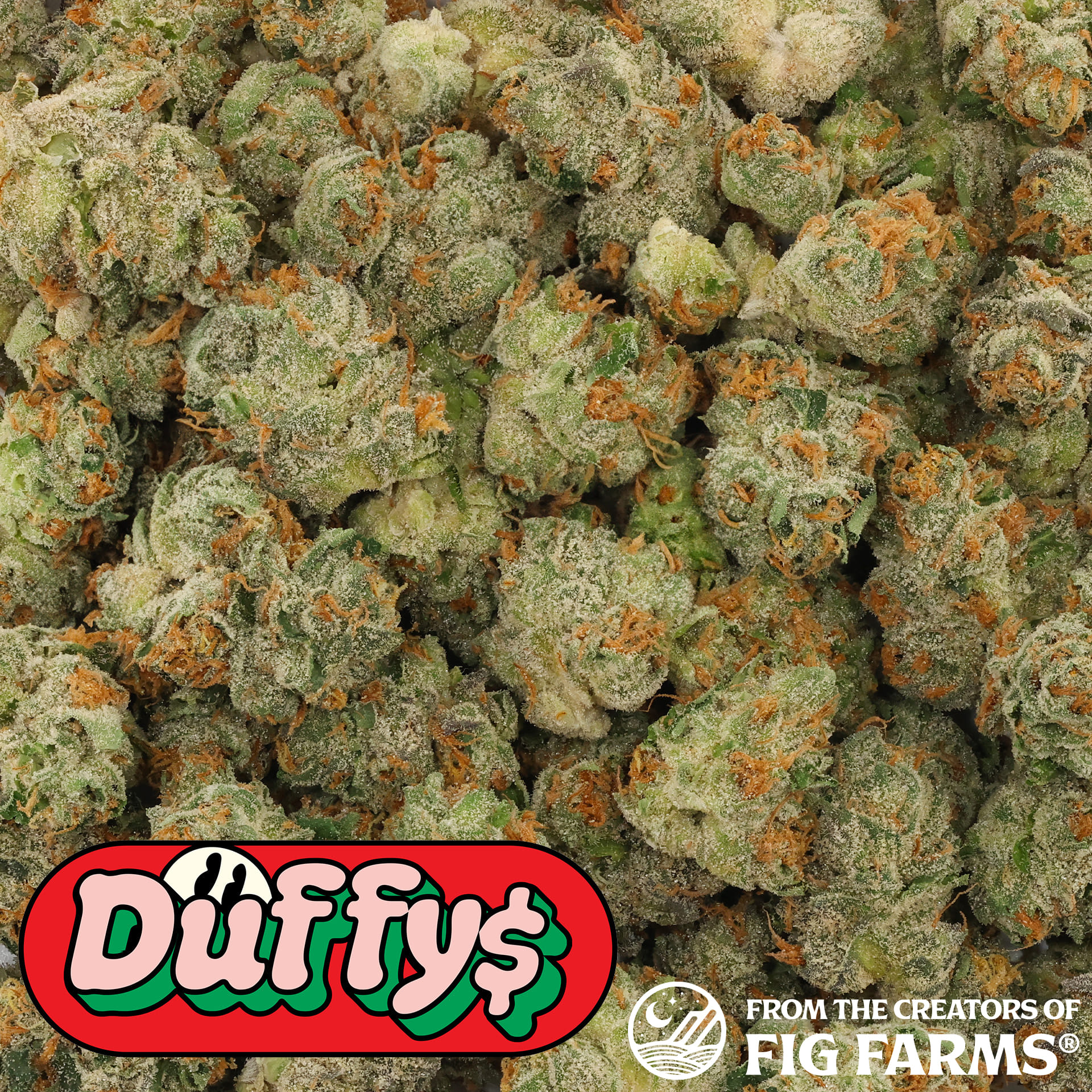 Duffy's: Krypto Chronic 8th