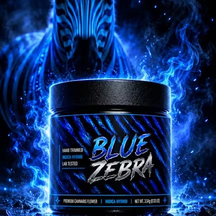 Blue Zebra 8th