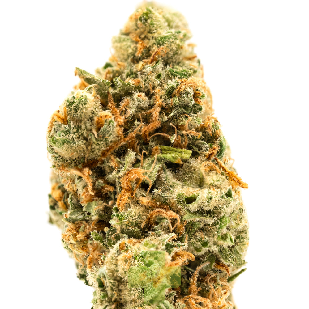 lolo: Lemon Skunk X Super Silver Haze
