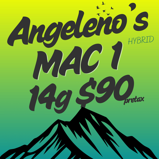 Angeleno's Cult — MAC 1
