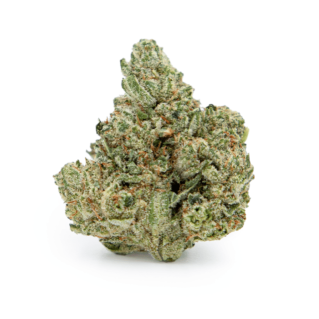 Angeleno's Cult — Gorilla Glue #4