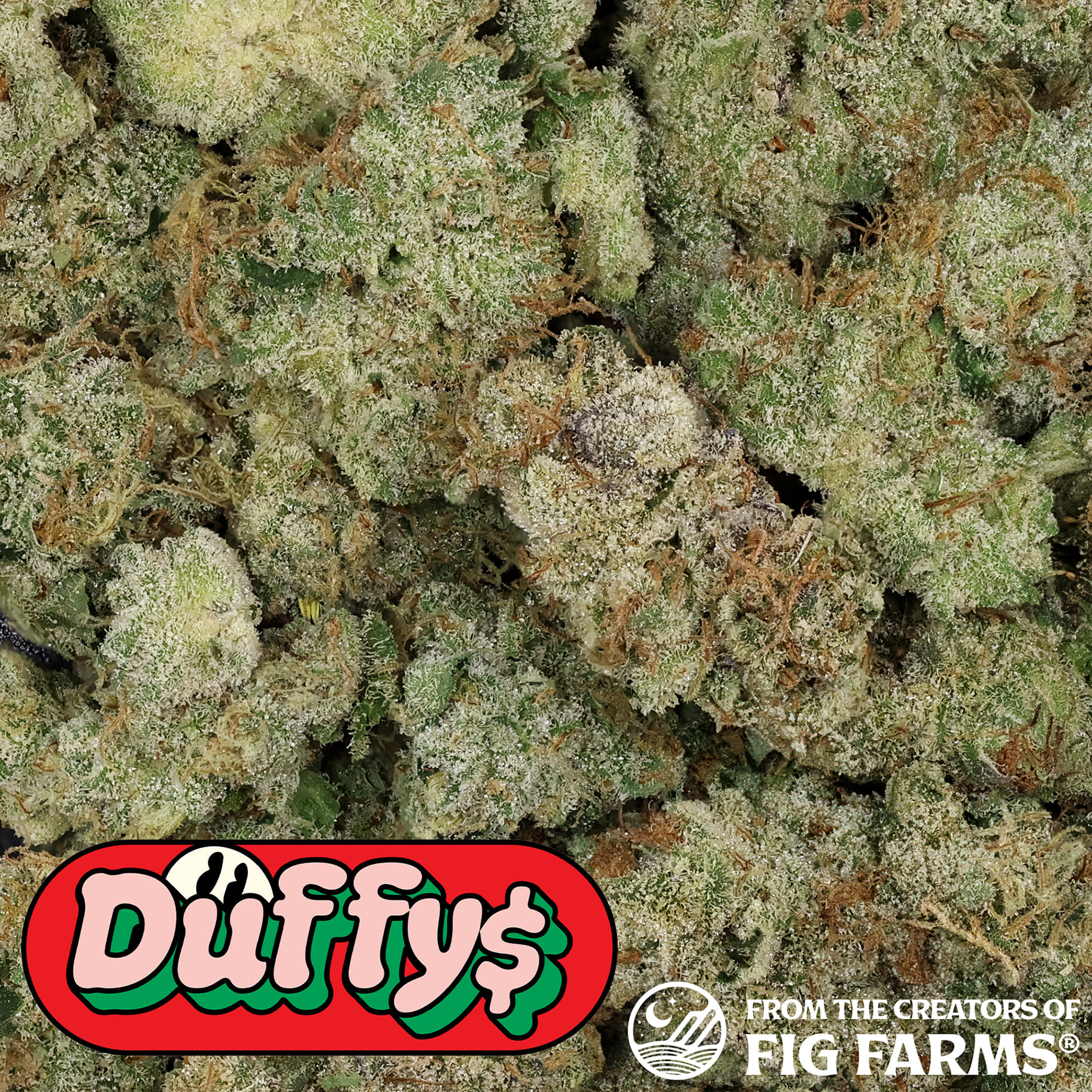 Duffy's: Dark Karma 8th