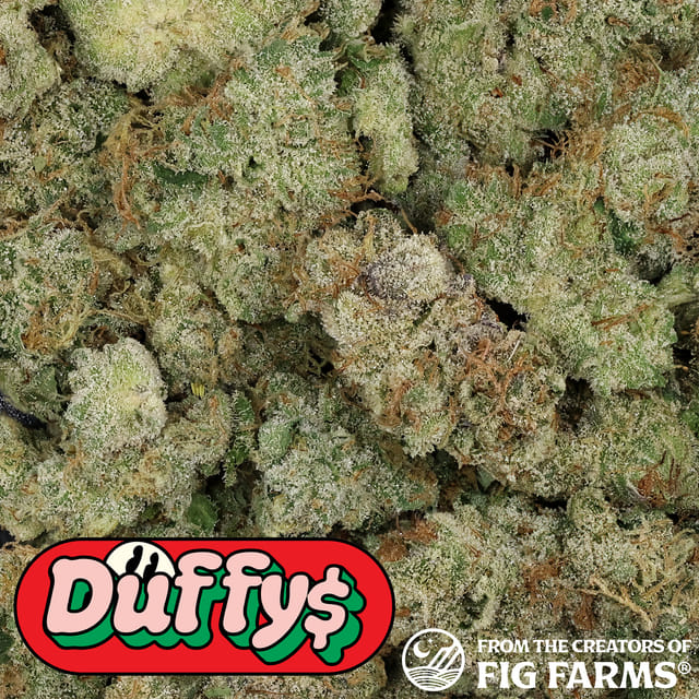Duffy's: Dark Karma 8th