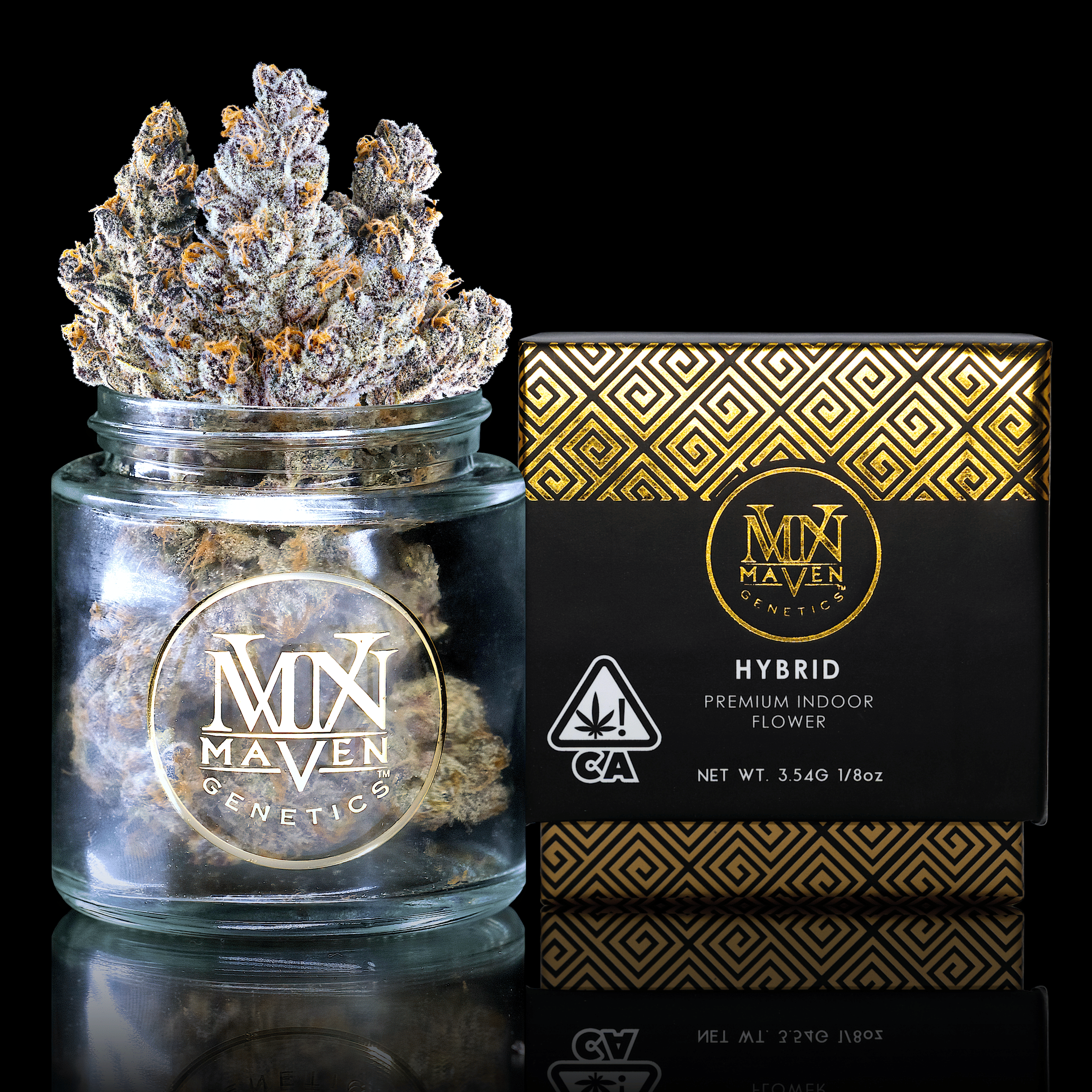 Maven Genetics: Chem 51