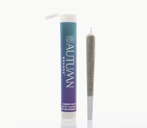 Autumn - Motion Party 1g Preroll Indica