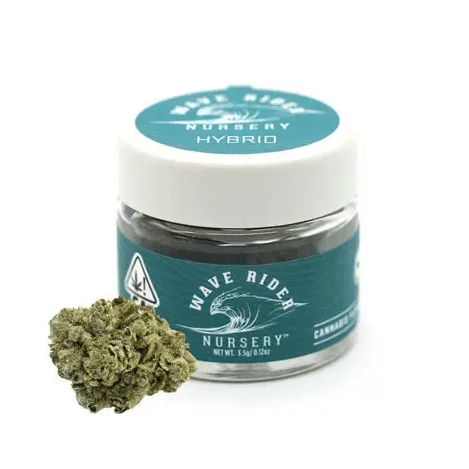 Wave Rider: Loud Berry Jar