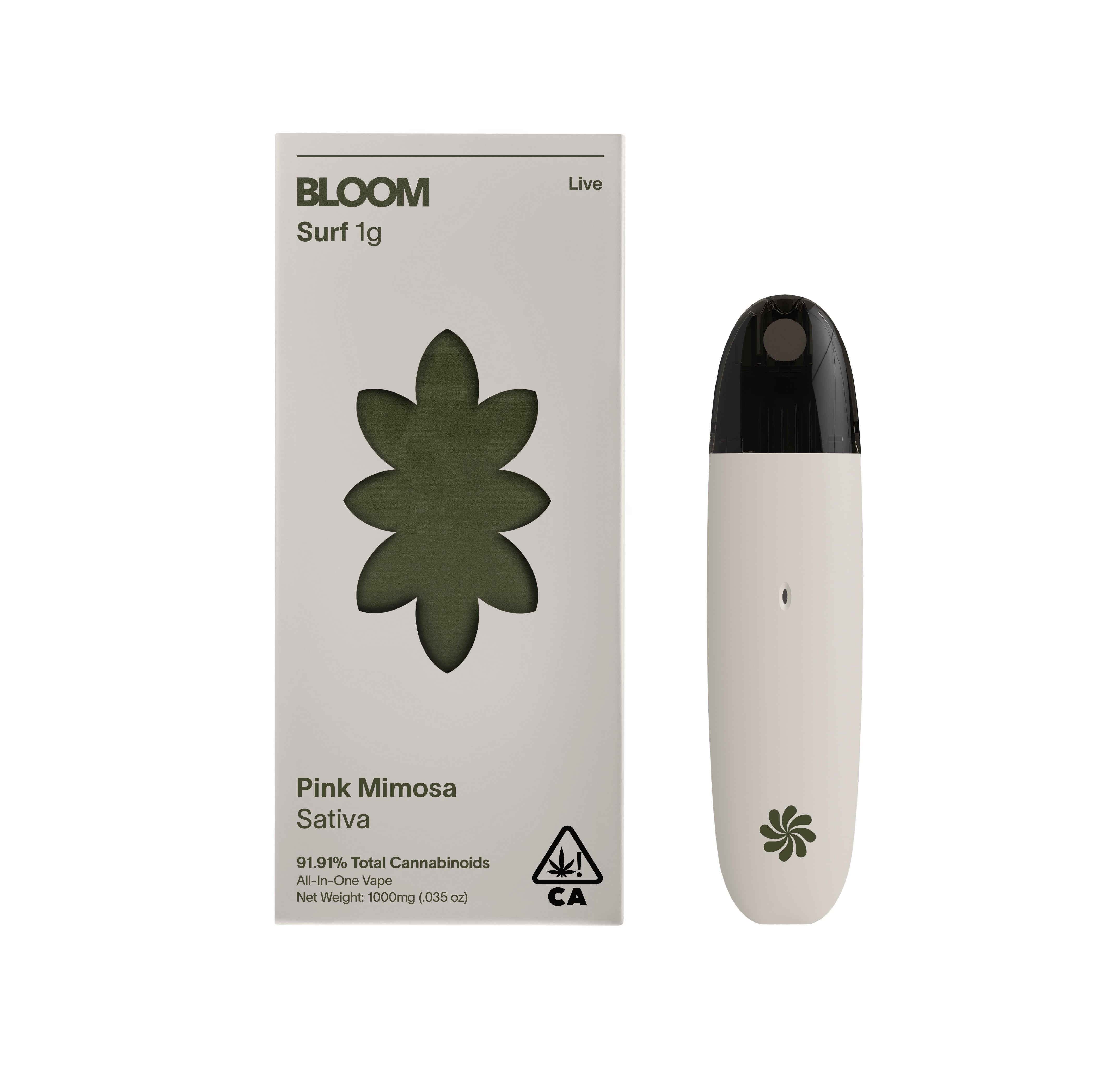 BLOOM: Pink Mimosa Surf