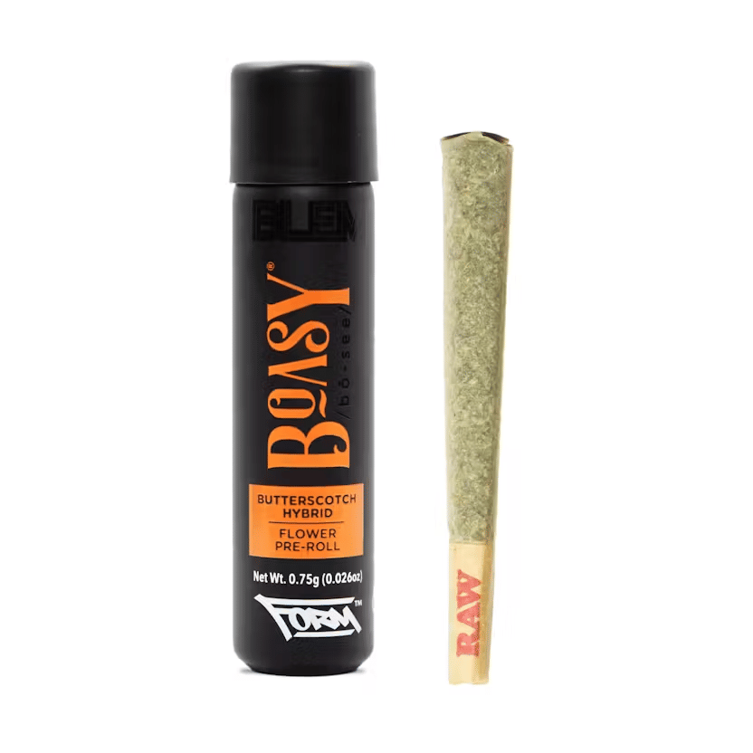 BLEM — Boasy