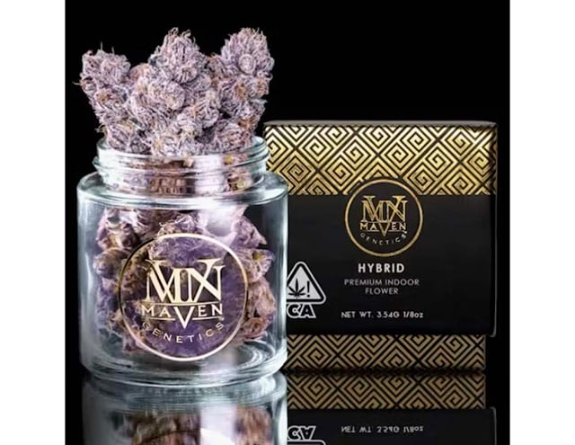 New Money #6 (H) 3.5g Maven Genetics