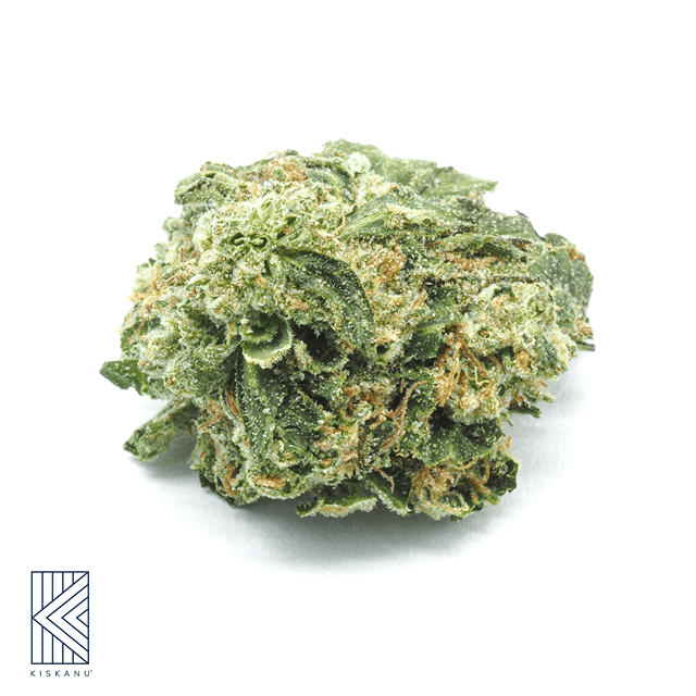 Lemon Cherry Sherb Smalls 3.5g