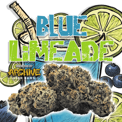Green Dragon: Blue Limeade
