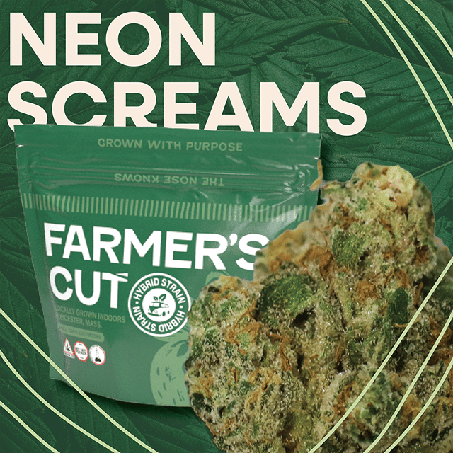 Neon Screams