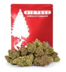 Apple Sherbet - 28g (H)