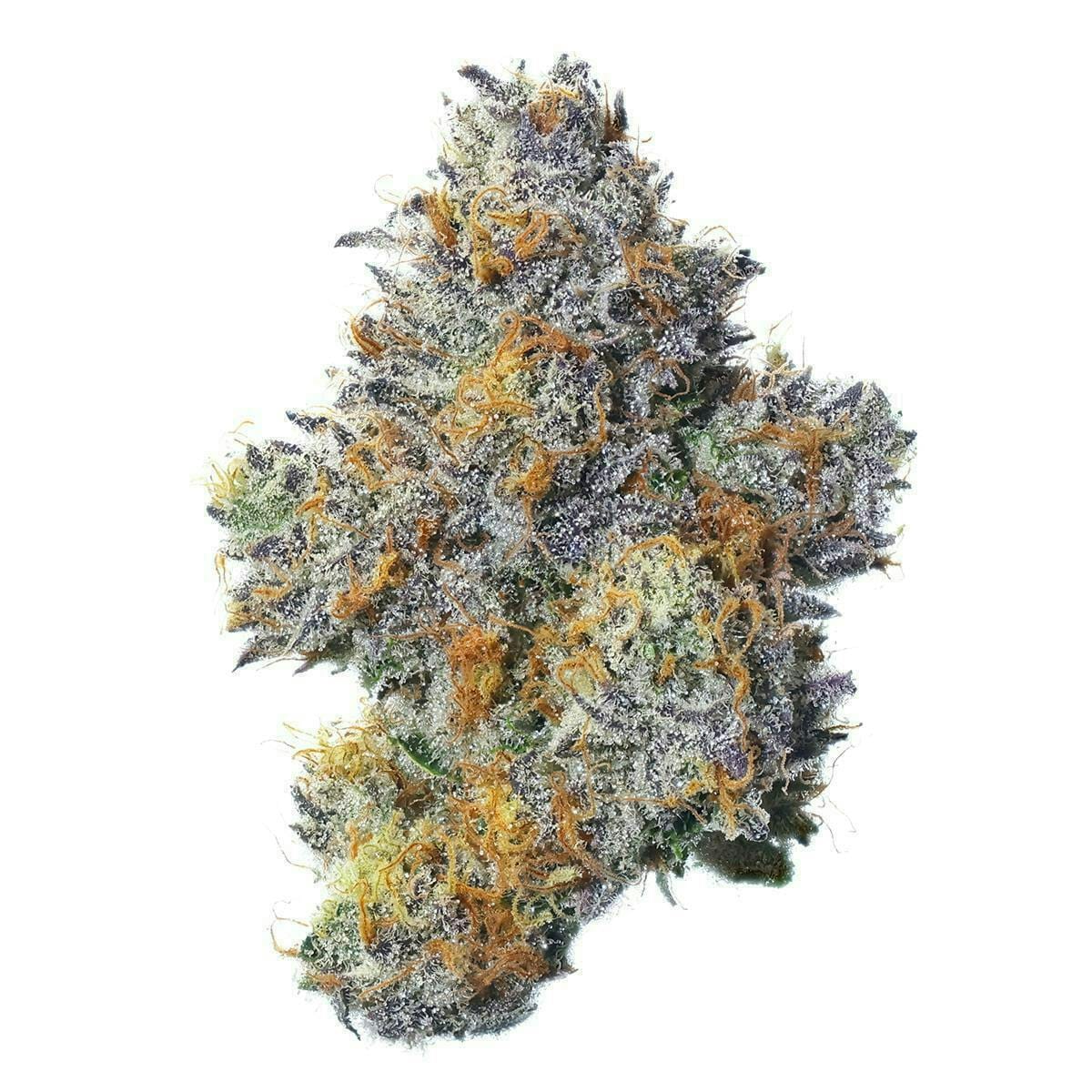 Fig Farms: Blue Face