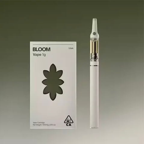 BLOOM: Slurricane