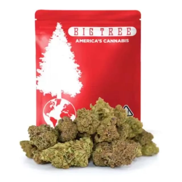 Apple Sherbet - 14g (H)