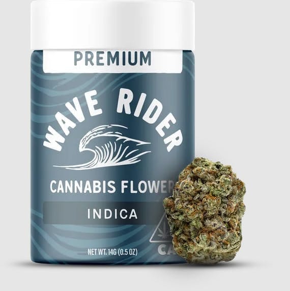 Wave Rider: Forbidden Jelly