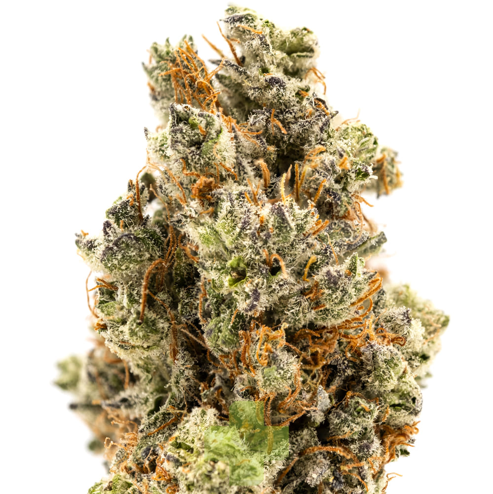 THC Design — Pineapple Surprize