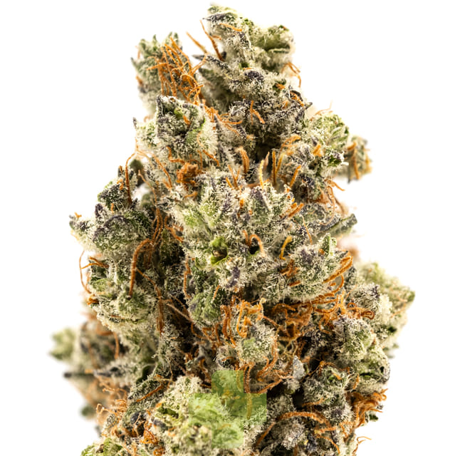 THC Design — Pineapple Surprize
