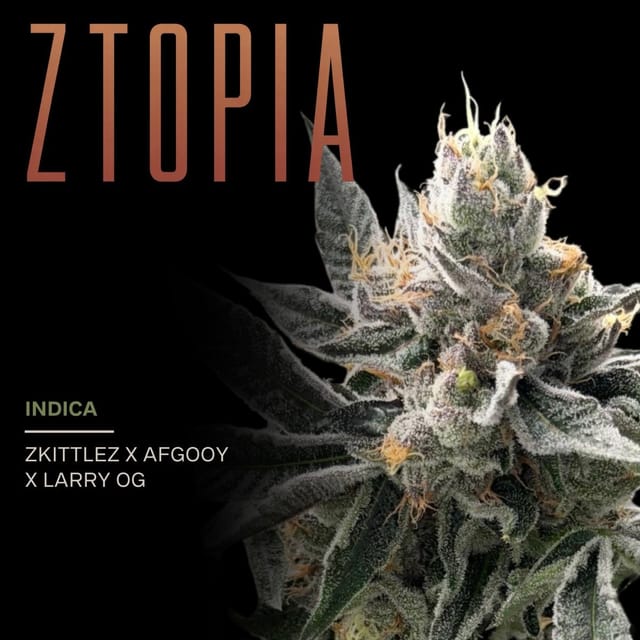 Ztopia 3.5g Flower (1/8th)