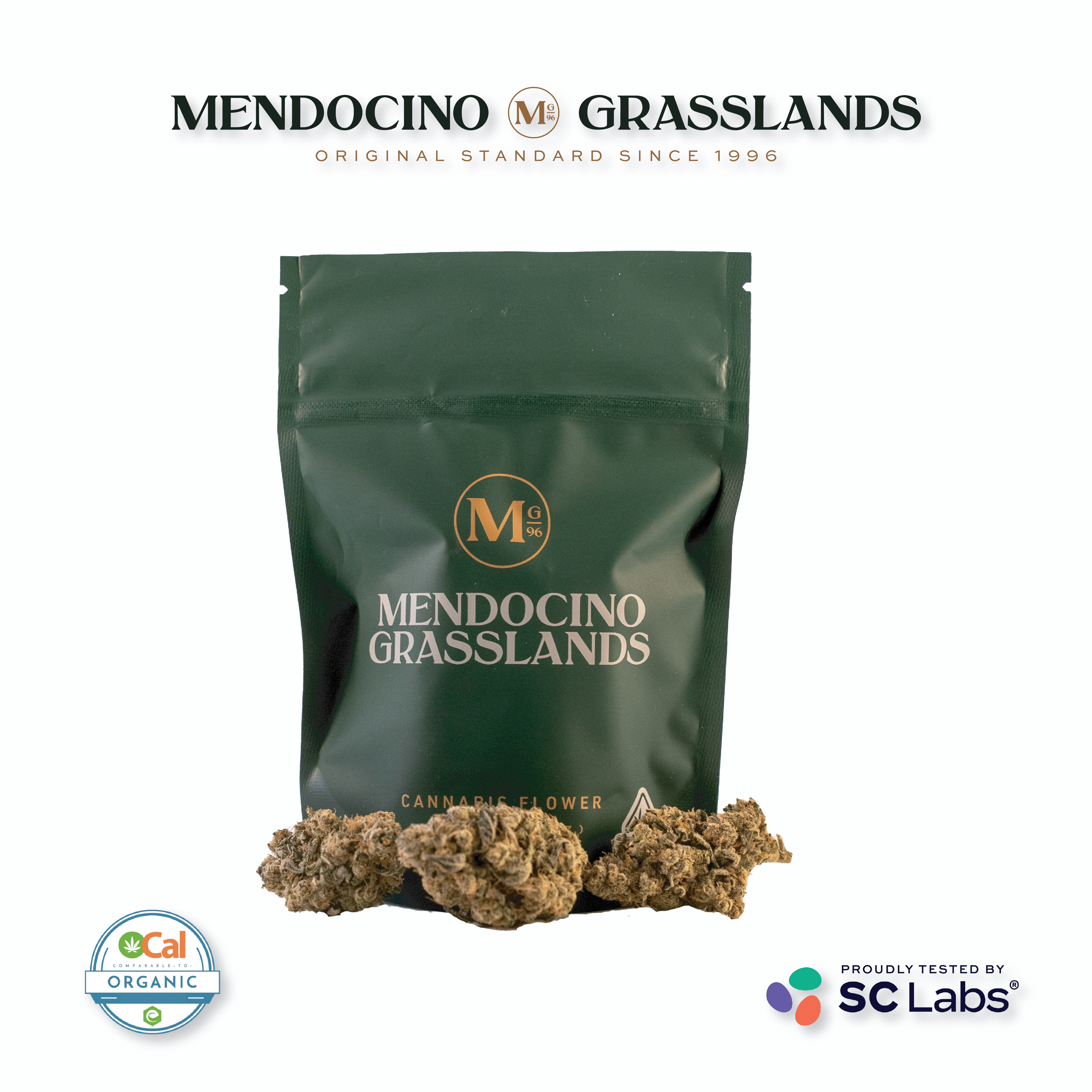 Mendocino Grasslands: I/h