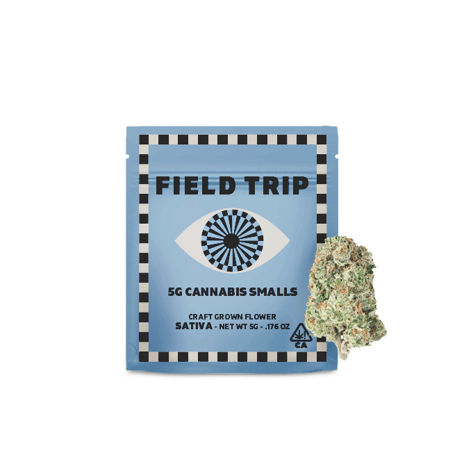 Field Trip: Sales Floor