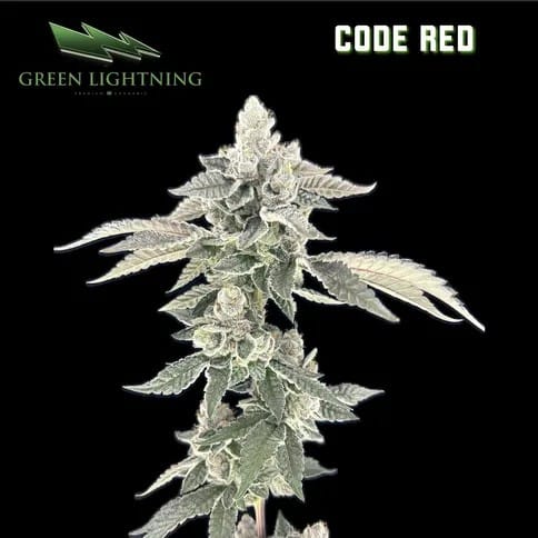 Code Red 3.5g Flower (1/8)