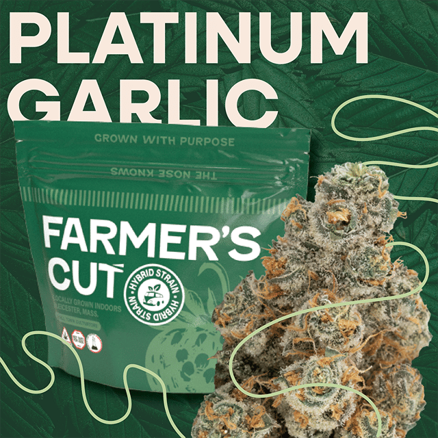 Platinum Garlic